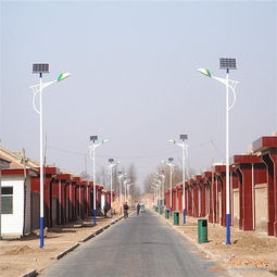 飞鸟专供甘肃地区LED太阳能路灯报价 照亮陇南美丽新乡村